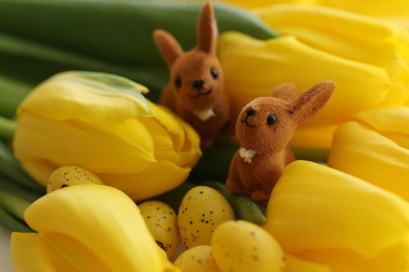 Charytatywny konkurs Wielkanocny